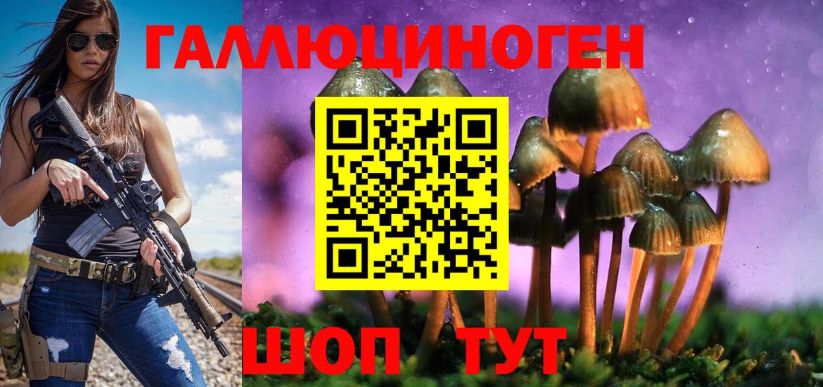 Городец  наркошоп  Вход с VPN  Галлюциногенные грибы Psilocybine cubensis 