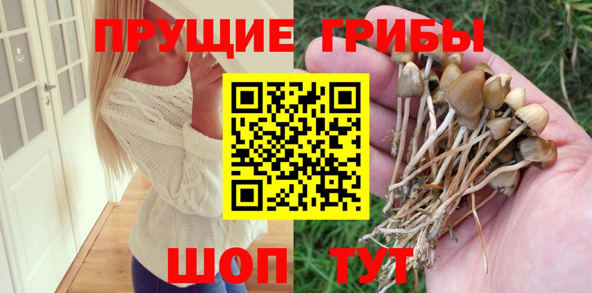 Галлюциногенные грибы мухоморы Городец